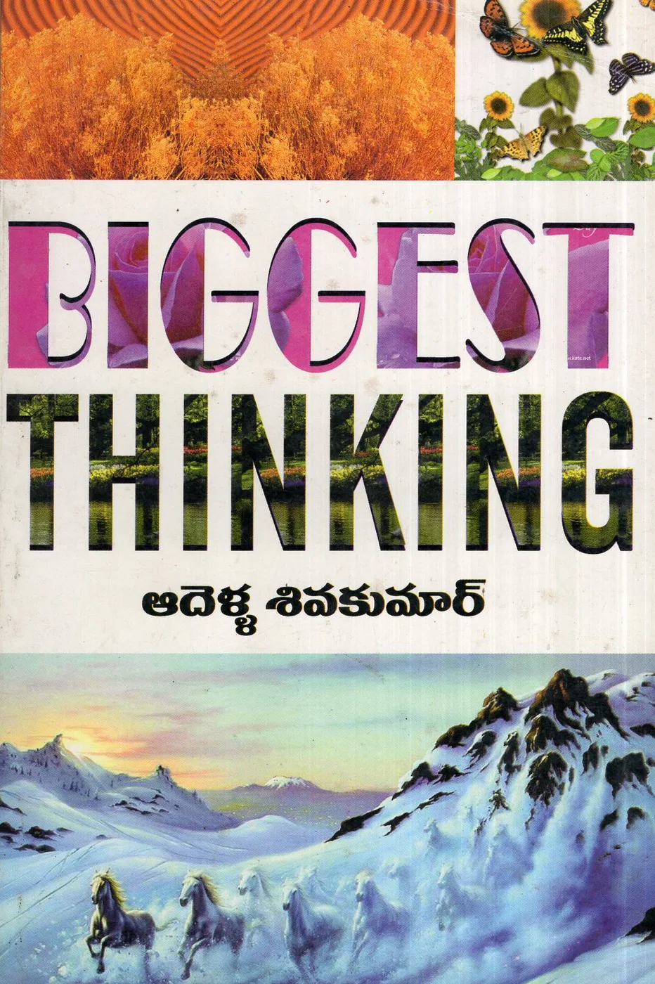 BIGGEST THINKING by ADELLA SIVAKUMAR Telugu book cover