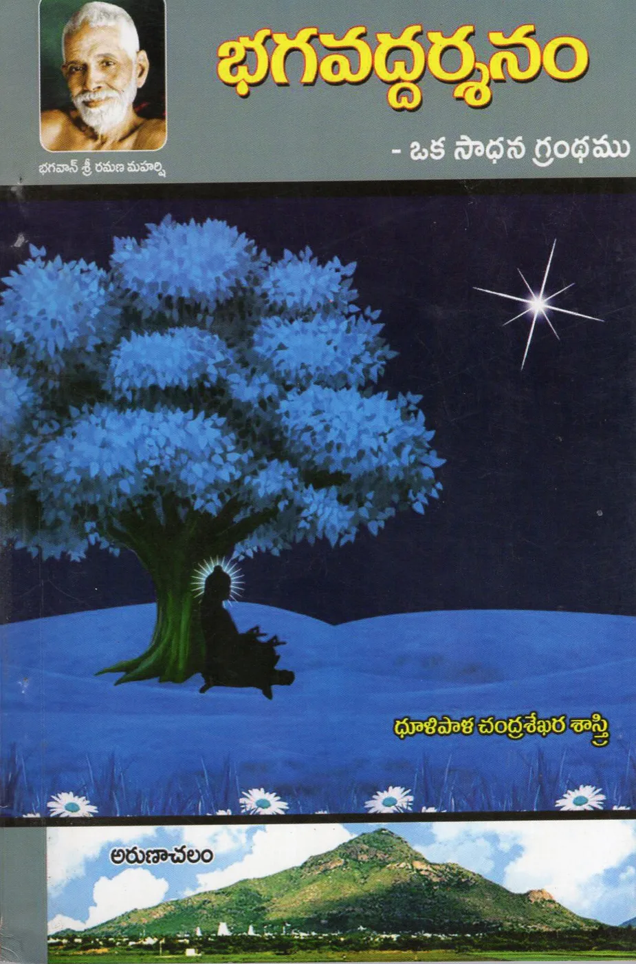 BHAGAVADDARSANAM by DHULIPALA CHANDRASEKHARA SASTRY Telugu book cover