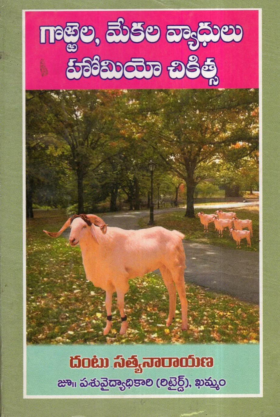 GORRELA MEKALA VYADHULU HOMEO CHIKISTA by DANTU SATYANARAYANA Telugu book cover