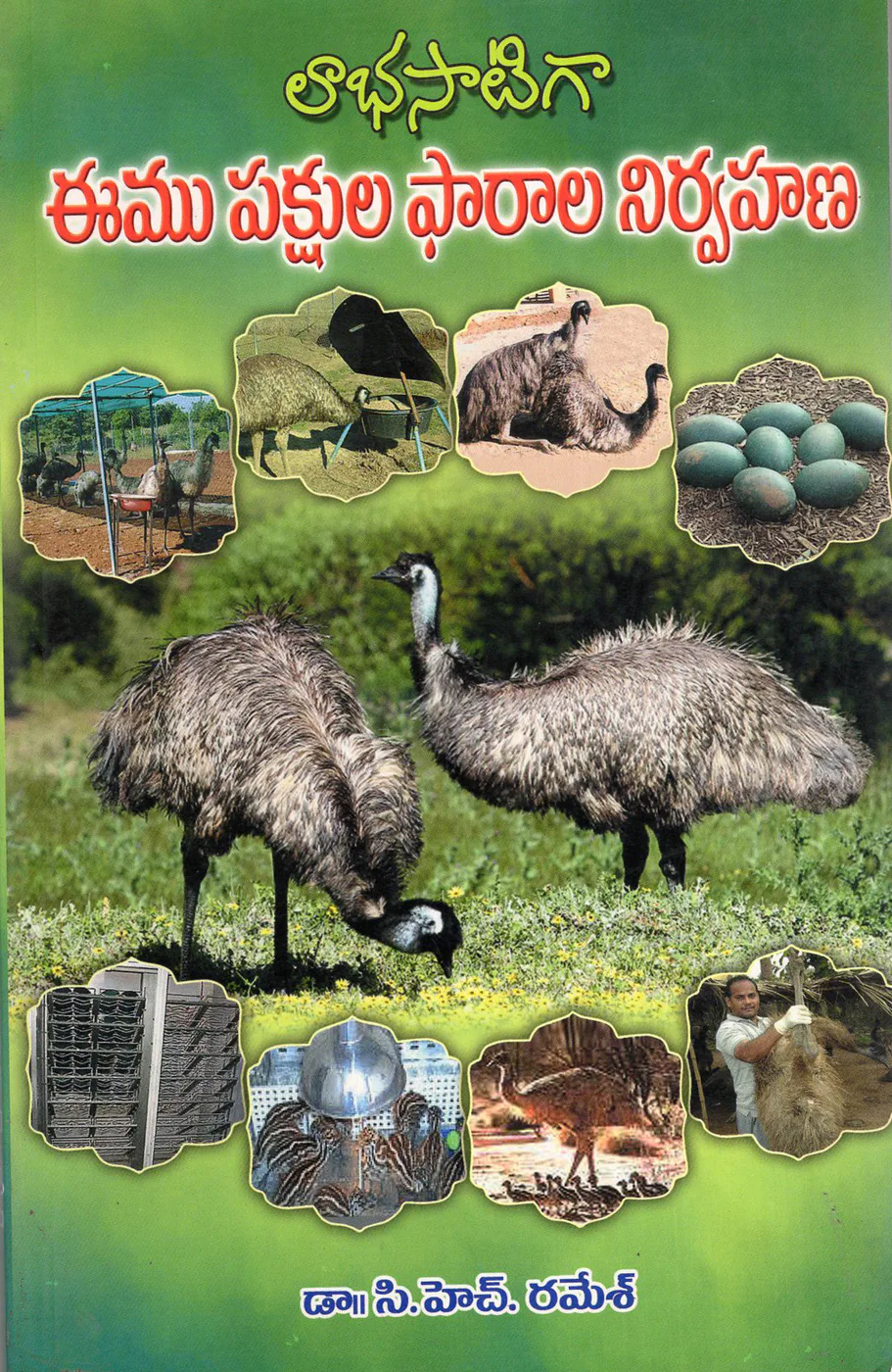 LABHASATI GAA EEMUPAKSHULA FARALA NIRVAHANA by DR.CH.RAMESH Telugu book cover